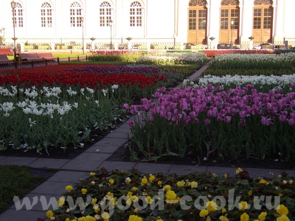 Хочется поставить пару фото с летней Москвы (летом посещали, есть несколько красивых)