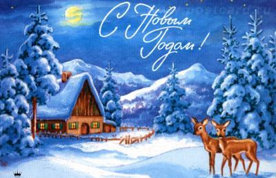 ДЕВОЧКИ, ДОРОГИЕ, МИЛЫЕ МОИ СОЛНУШКИ - 2