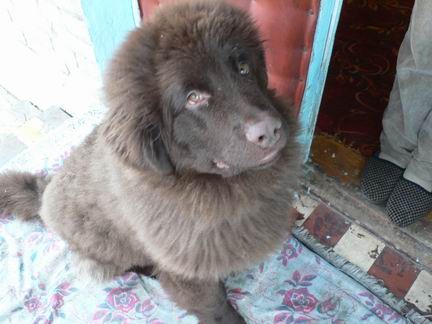      , ,    ,        ... - 3