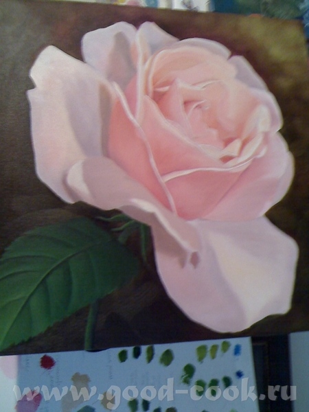 Показываю мои розы, рисую триптих - 2