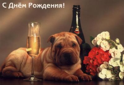 роничка, поздравляю тебя с днем рождения