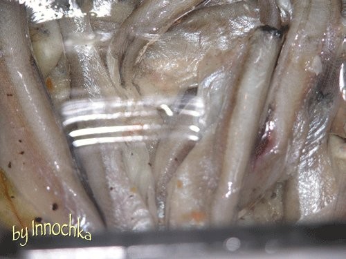 чегои-то нас на рыбку потянуло - 4