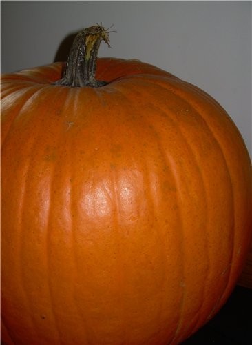 Как обещала несу показать главный атрибут Helloween - 3