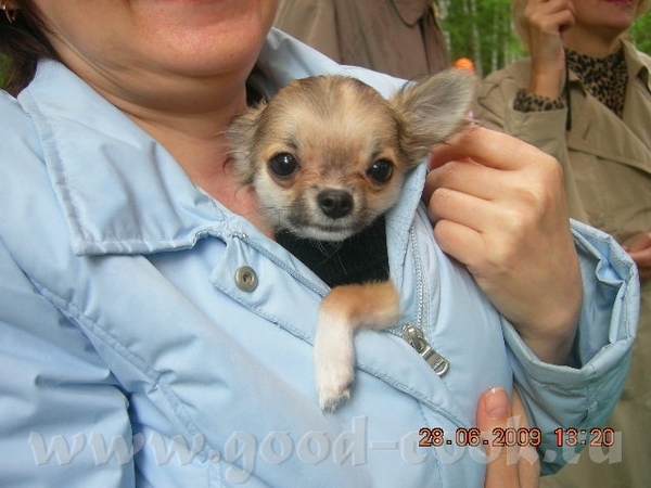 ,     ,   , + 13  ,   ,   ,  ...