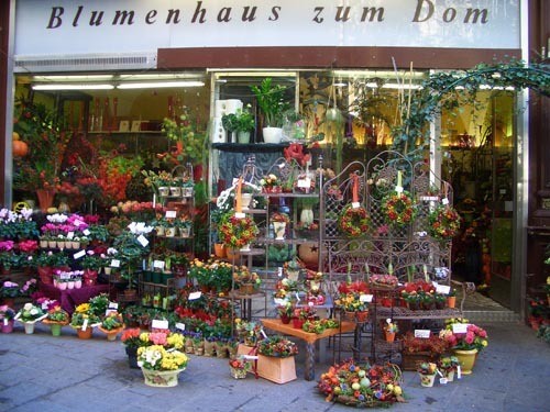 Жалко, что на такой маленькой фотке плохо видно, какой красивый магазин цветов, в Вене они мне ну о...