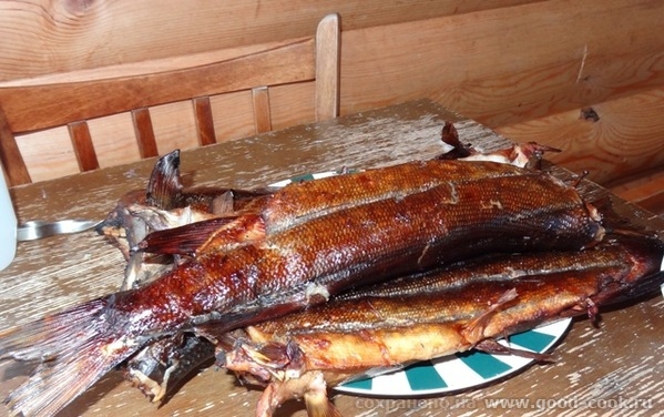 рыба3