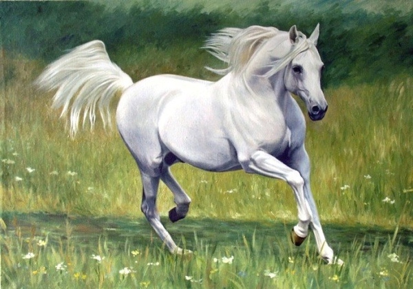 У меня проблеммы с уроками из сайта WetCanvas , там не возможно посмотреть уроки без регистрации а...