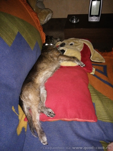 спим