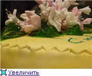 торт зеленая машинка торт солнышко с карамельными лучиками торт с юбилеем - 8