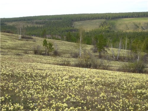 Хочу показать немножко нашу природу - 2