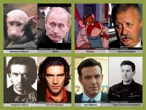Вот чего мне прислали