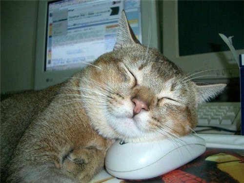 На интересной работе и сны интересные снятся: