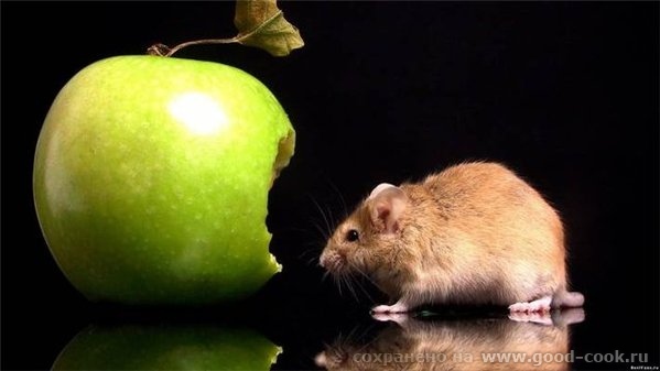 О!! Пришла домой дочка и говорит чтоб не белое плоское яблоко сделала, а объемное , реалистичное и надгрызанное!! Единст... - 2