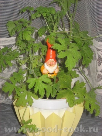 ,       ,  -  -     ,...