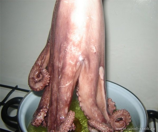 Pulpo еn salsa Осьминог под соусом На 4 порции: 1 кг осьминога, 1 маленькая луковица , 3 средние картофелины, 1-2 лавр... - 4