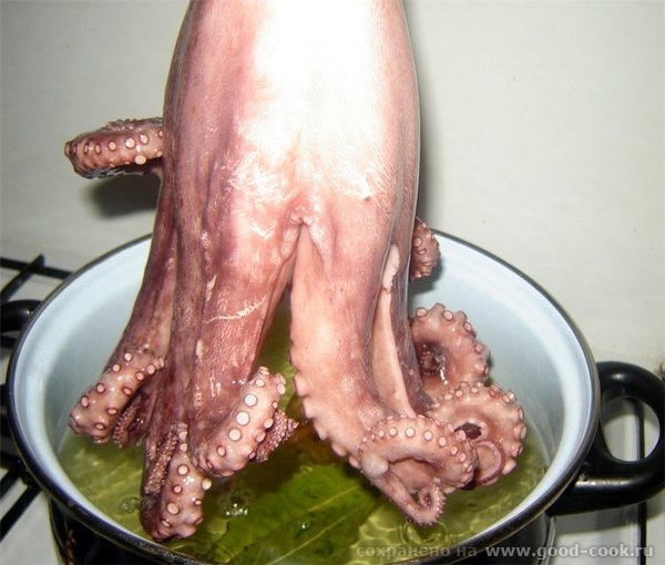 Pulpo еn salsa Осьминог под соусом На 4 порции: 1 кг осьминога, 1 маленькая луковица , 3 средние картофелины, 1-2 лавр... - 5
