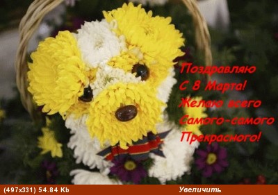 МИЛАЯ ТАНЮШКА, ПОЗДРАВЛЯЮ ТЕБЯ С ПРАЗДНИКОМ 8 МАРТА