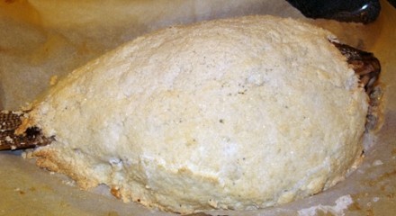  -    ,      (      ... - 2