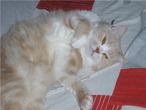 Yulika Юлечка, спасибо, родной - 2