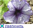 , у меня мама по необходимости стала принимать кальций в таблетках - 2