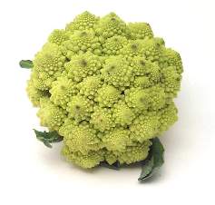 (broccoli) (broccoli Romanesco)  (broccolini = baby broccoli) - 2