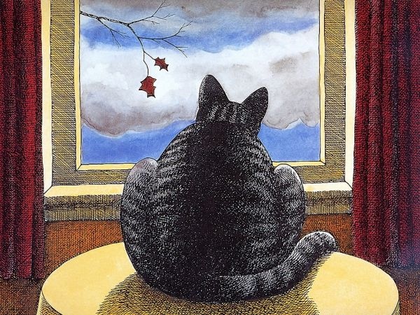 КОТО-любителям - 9