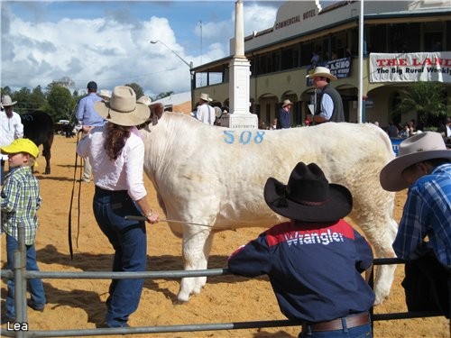 сегодня я расскажу о празднике-карнавале BEEF WEEK - 4