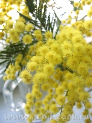 Нелли и Александра