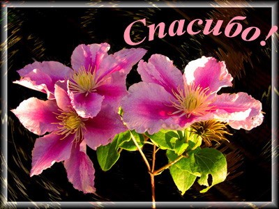 Всем большое спасибо