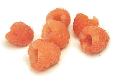   (golden raspberry)     (  - gooseberry) ...