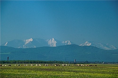 А это закат в нашем городе клевер - 6