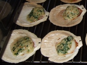 Spinach and mustard scallops/             ...