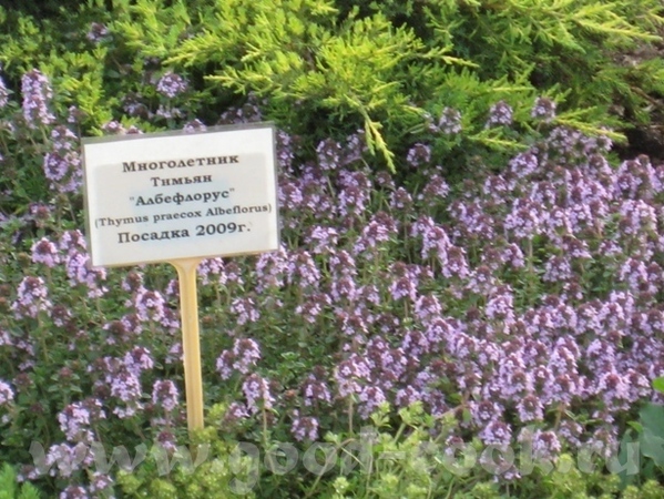 Тэкс - 2