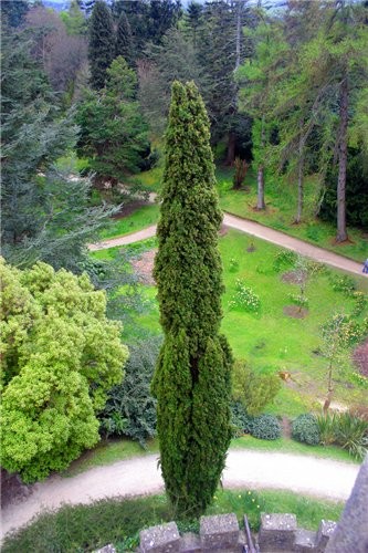 Powerscourt House парк