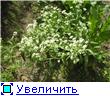 , у меня мама по необходимости стала принимать кальций в таблетках - 5