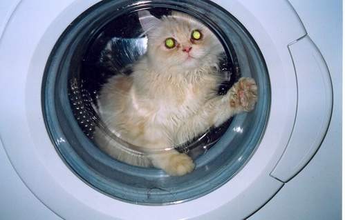 Твоя до выхода в открытый космос а моя уже на выходе и здесь, твоя еще в руках а моя уже вырвалась...