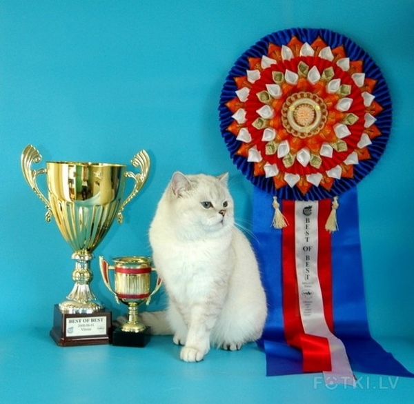 Раз пошла такая пьянка