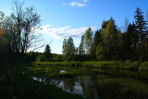 ой - 6