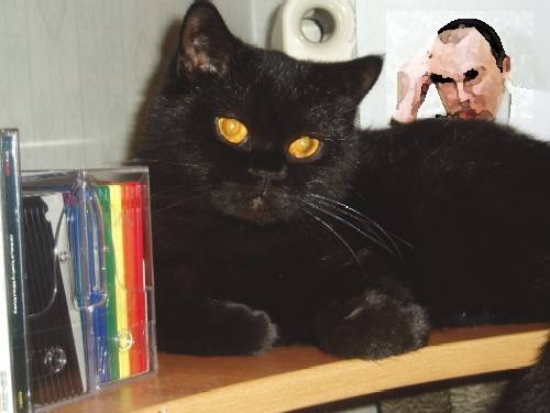 А это наша Аська