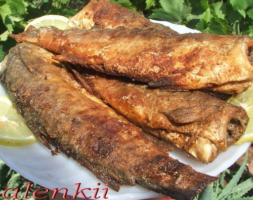 МЯСО ТУШЕНОЕ С ЖЕЛТЫМИ ФИНИКАМИ САЛАТ "ПЬЯНЯЩИЙ" (от моего мужа) ЧЕБУРЕКИ КУРИНЫЕ КРЫЛЫШКИ В КУНЖУТ... - 5