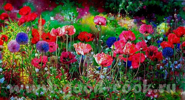 Mаки от (и другие цветы) Boli Libo музыка и цветы от Elizabeth Kawala Brian McCarthy John Ebner... - 2
