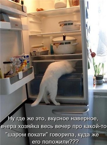 Ну и к масленице - 3