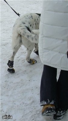 им тоже тепло - 3