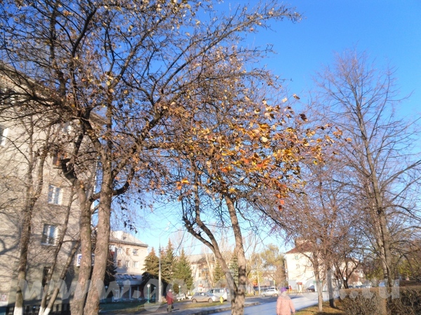 От нашего стола - вашему