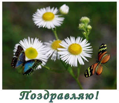 KLM, SeraFima, Красотка, Оксана30, Аська, Krusa, yule4ka777, с днём рождения
