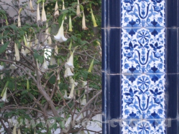 Глава 3 - 3