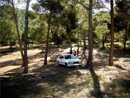    ,            : ... - 3