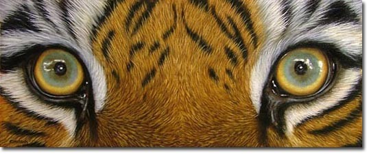 Рисунок тигра акрилом Урок по семислойной технике на демиарте Пионы, урок с демиарта Глаза тигра... - 3