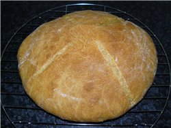      Brot mit Maismehl : 250   (  )(Typ 550) 250... - 10