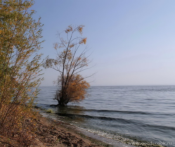 осень